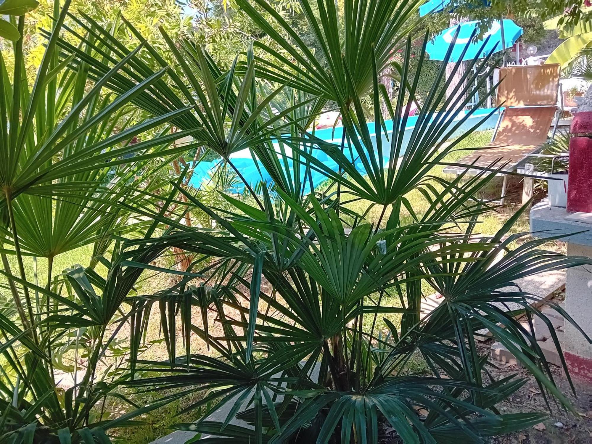Apartament Sogno Vacanze Massa  Zewnętrze zdjęcie