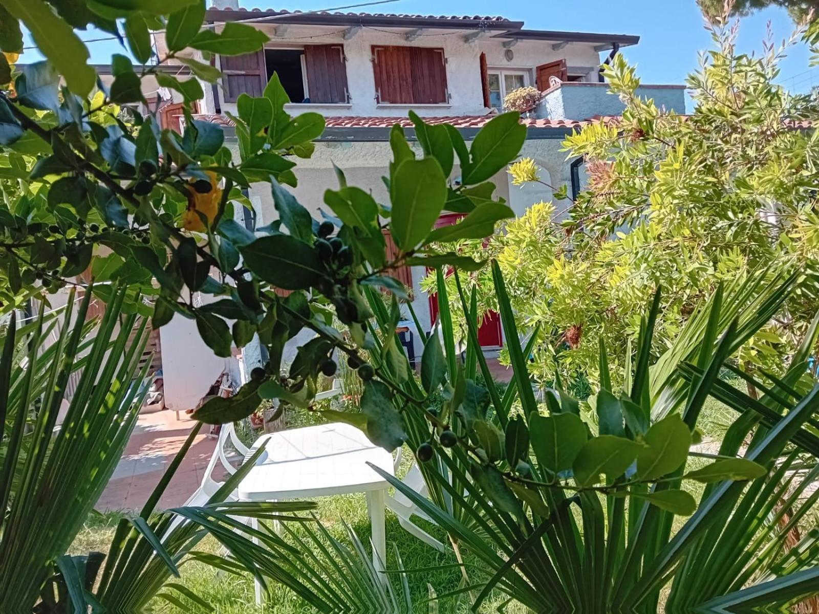 Apartament Sogno Vacanze Massa  Zewnętrze zdjęcie