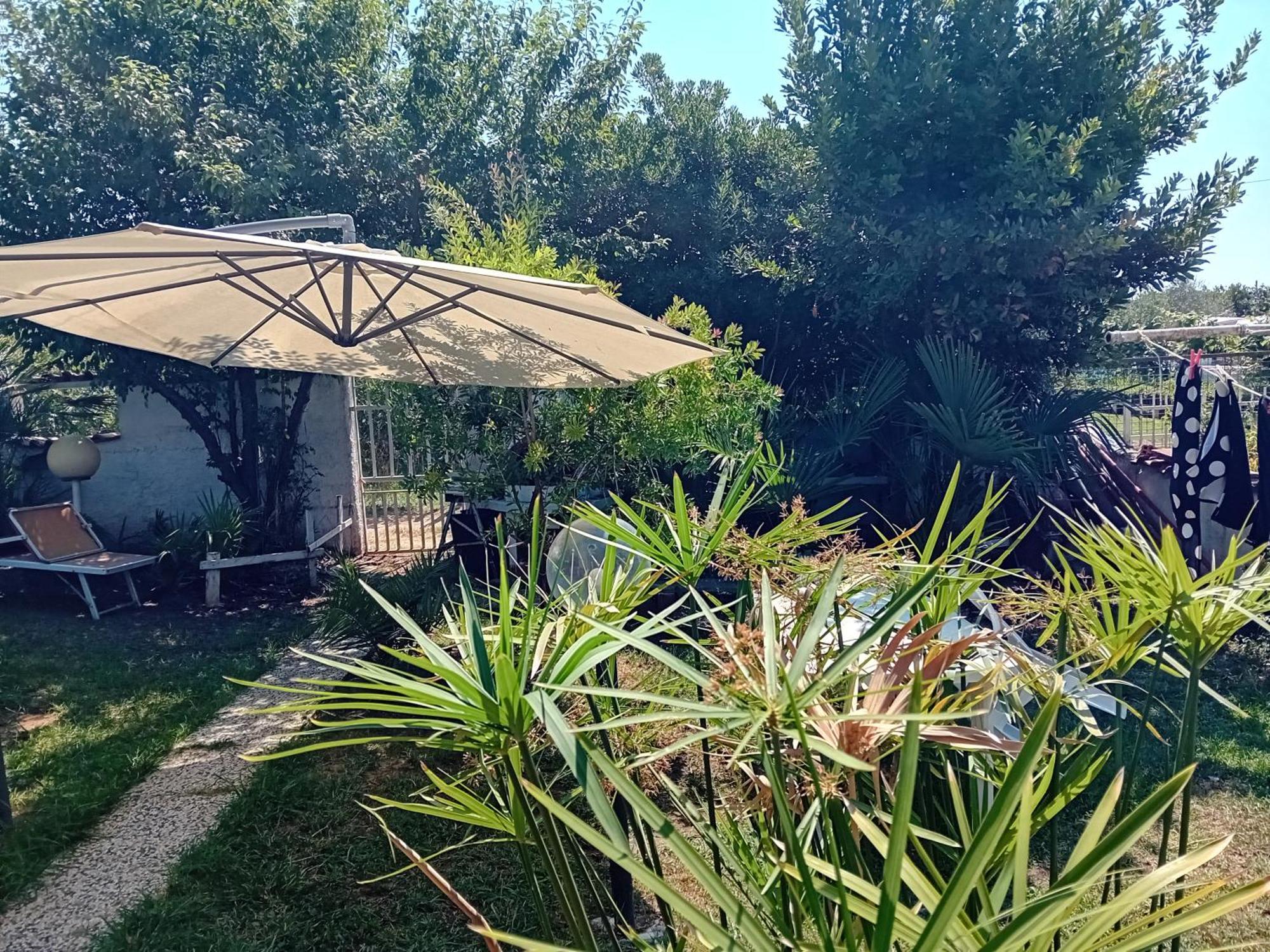 Apartament Sogno Vacanze Massa  Zewnętrze zdjęcie