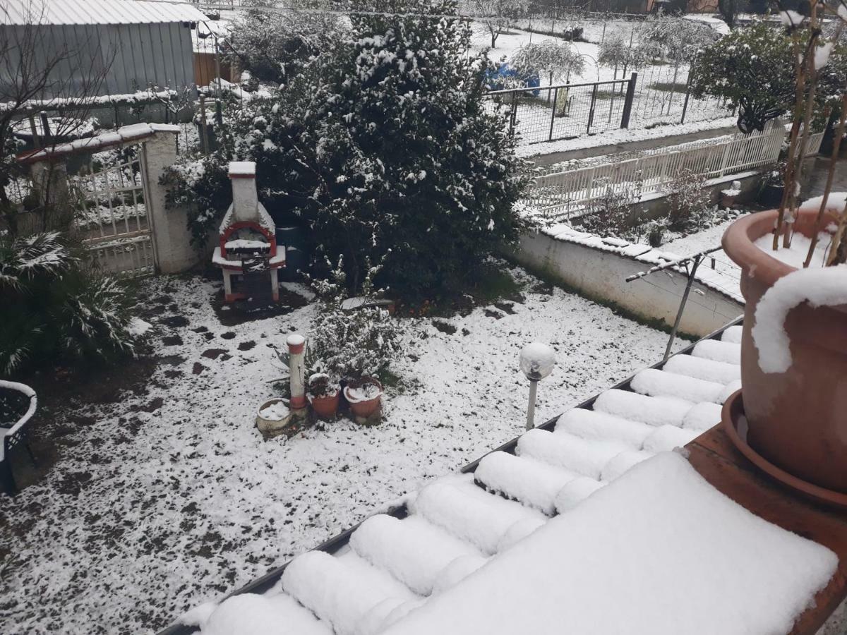 Apartament Sogno Vacanze Massa  Zewnętrze zdjęcie